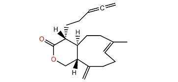 Acalycixeniolide B1